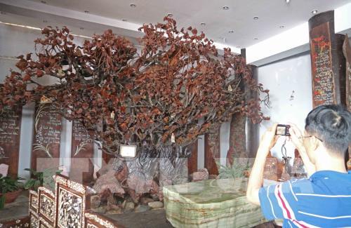 Cận cảnh chùa Linh Phước (Lâm Đồng) lập nhiều kỷ lục Việt Nam