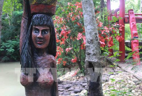 Độc đáo Khu bảo tồn lan rừng Troh Bư-Buôn Đôn