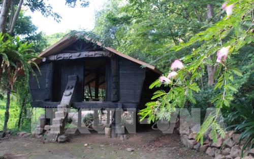 Độc đáo Khu bảo tồn lan rừng Troh Bư-Buôn Đôn