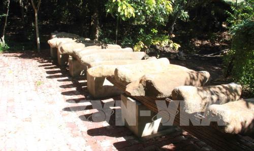 Độc đáo Khu bảo tồn lan rừng Troh Bư-Buôn Đôn