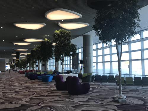 Nhà ga T4- Sân bay Changi (Singapore) có gì đặc biệt?