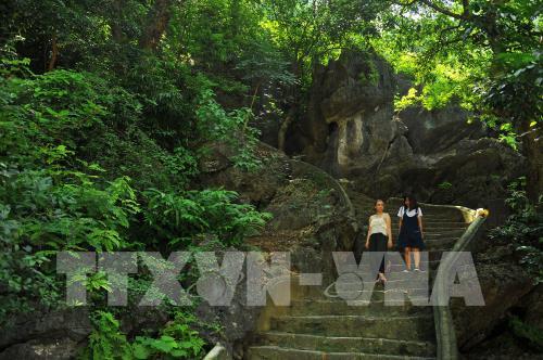 "Tuyệt Tình Cốc" - vẻ đẹp đầy mê hoặc của Động An Tiên, tỉnh Ninh Bình