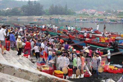 Tấp nập bến cá Nghi Thủy (Nghệ An)