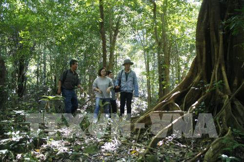 Giữa đại ngàn Tây Nguyên có một nơi bình yên đến thế!