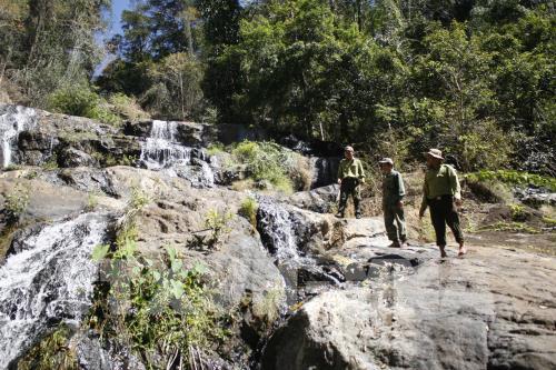 Giữa đại ngàn Tây Nguyên có một nơi bình yên đến thế!