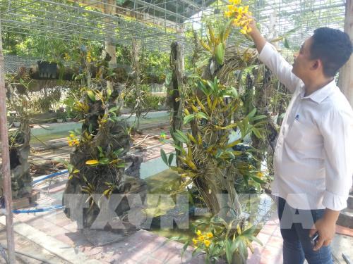 Giữa đại ngàn Tây Nguyên có một nơi bình yên đến thế!