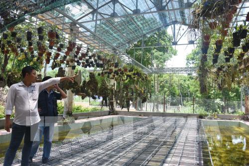 Giữa đại ngàn Tây Nguyên có một nơi bình yên đến thế!