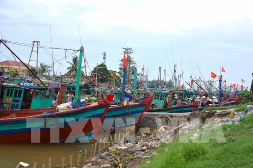 Ứng phó với diễn biến phức tạp của bão số 10