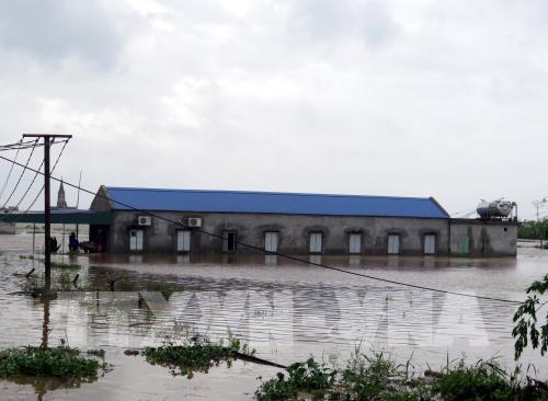 Chùm ảnh: Nhiều địa phương thiệt hại nặng nề do bão số 10