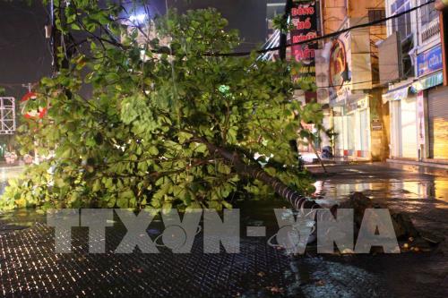 Chùm ảnh: Nhiều địa phương thiệt hại nặng nề do bão số 10