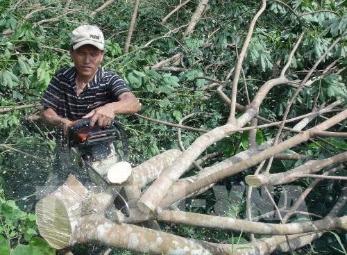 Chùm ảnh các địa phương tập trung khắc phục hậu quả do bão số 10 gây ra