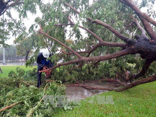 Chùm ảnh bão số 12 gây thiệt hại tại các địa phương