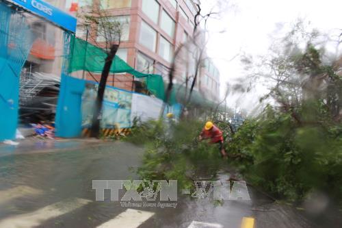 Chùm ảnh bão số 12 gây thiệt hại tại các địa phương