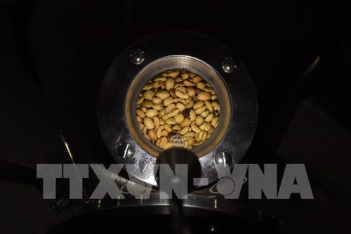 Nhập khẩu cà phê của Hàn Quốc tăng cao nhất từ trước tới nay