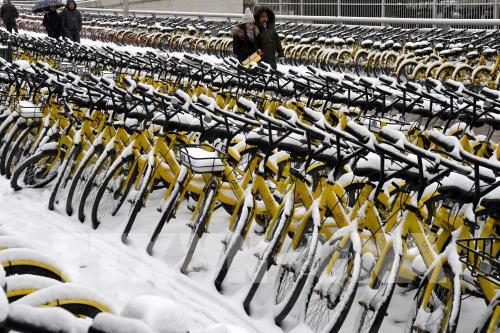 Tuyết rơi gây thiệt hại lớn ở Trung Quốc