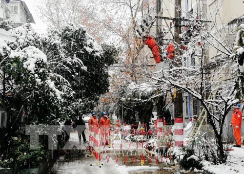 Tuyết rơi gây thiệt hại lớn ở Trung Quốc