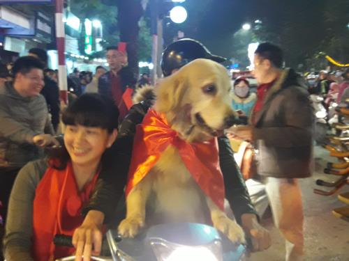 Những hình ảnh ngộ nghĩnh của cổ động viên đội tuyển U23 Việt Nam