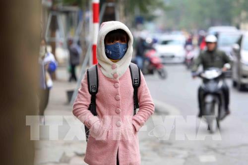 Dự báo thời tiết Tết: Bắc Bộ rét đậm, rét hại diện rộng từ đêm 29/1 đến ngày 3/2