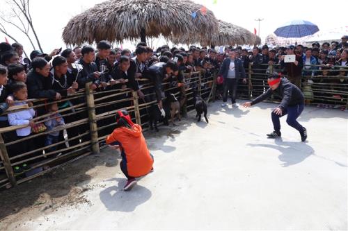 Du khách mê mẩn ăn chơi ở lễ hội khèn hoa Sa Pa