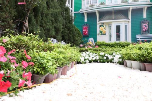 Hoa đua khoe sắc tại Lễ hội hoa hồng Bulgaria trước giờ khai mạc