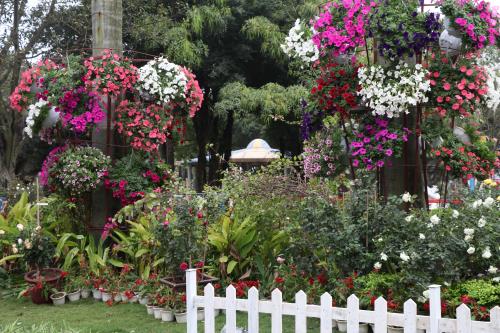 Hoa đua khoe sắc tại Lễ hội hoa hồng Bulgaria trước giờ khai mạc