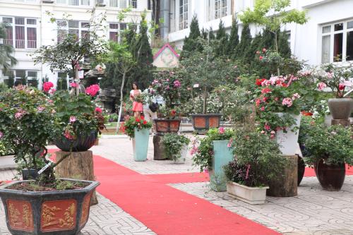 Hoa đua khoe sắc tại Lễ hội hoa hồng Bulgaria trước giờ khai mạc