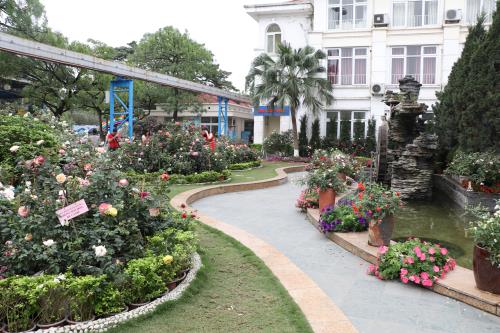 Hoa đua khoe sắc tại Lễ hội hoa hồng Bulgaria trước giờ khai mạc