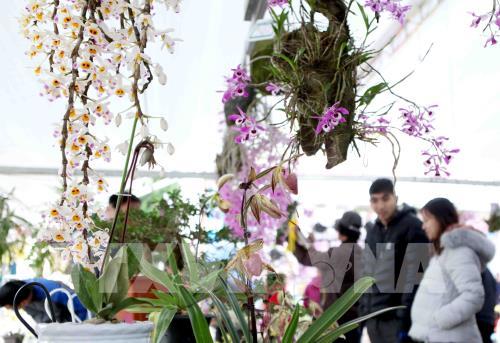 Ứng dụng công nghệ số trong phát triển nông nghiệp