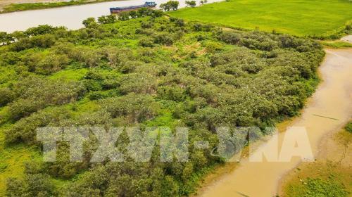 Khám phá vẻ đẹp của đảo cò Gia Lạc