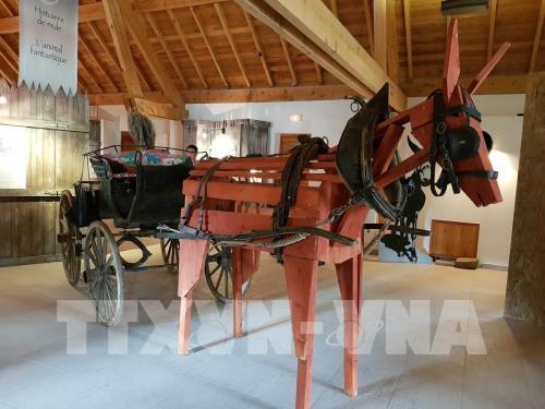 Vẻ đẹp của công viên địa chất toàn cầu