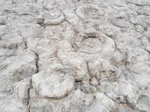 Vẻ đẹp của công viên địa chất toàn cầu