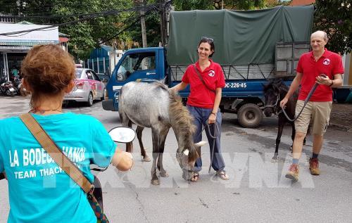 Chợ Tây trên đất Ta