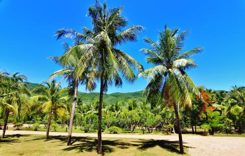 Khám phá không gian khoa học hấp dẫn chỉ Quy Nhơn mới có!