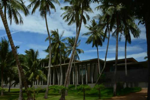 Khám phá không gian khoa học hấp dẫn chỉ Quy Nhơn mới có!