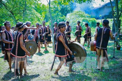 Lễ cúng bến nước của đồng bào dân tộc Gia Rai