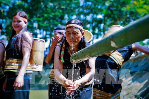 Lễ cúng bến nước của đồng bào dân tộc Gia Rai