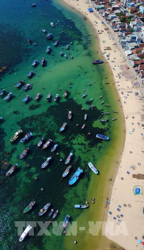 Vẻ đẹp Quy Nhơn làm say đắm lòng người