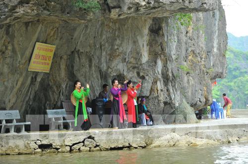 Ngắm mùa vàng Tam Cốc bên bờ sông Ngô Đồng đẹp nao lòng