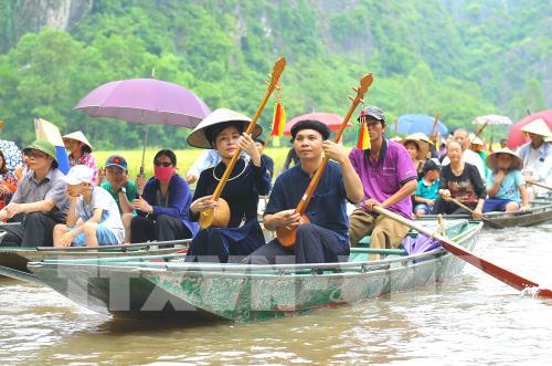 Ngắm mùa vàng Tam Cốc bên bờ sông Ngô Đồng đẹp nao lòng