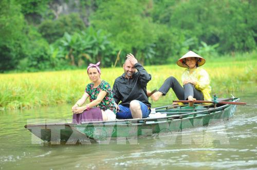 Ngắm mùa vàng Tam Cốc bên bờ sông Ngô Đồng đẹp nao lòng