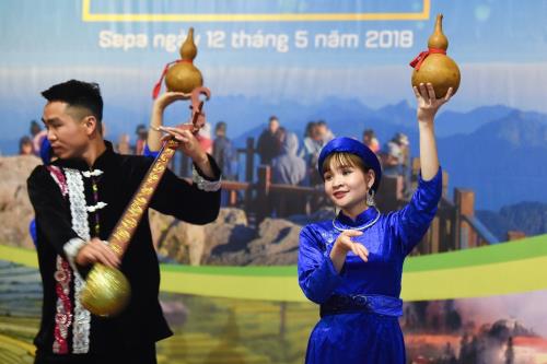 Ngất ngây sắc hướng dương vàng giữa mây trời Tây Bắc