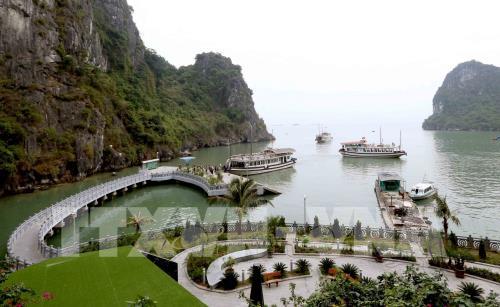 Di sản thiên nhiên thế giới Vịnh Hạ Long xanh tươi và kỳ vĩ