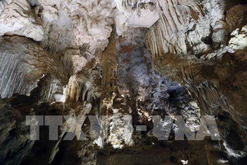 Di sản thiên nhiên thế giới Vịnh Hạ Long xanh tươi và kỳ vĩ