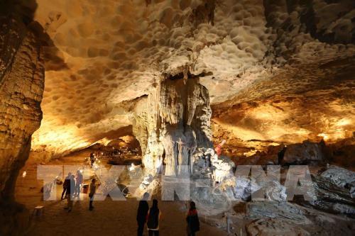 Di sản thiên nhiên thế giới Vịnh Hạ Long xanh tươi và kỳ vĩ