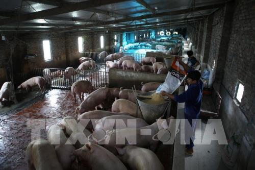 Diện mạo nông thôn Hà Nội sau 10 năm điều chỉnh địa giới