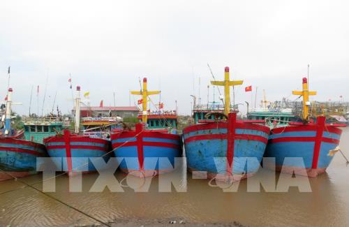 Thanh Hóa cấm biển để ứng phó với bão số 2