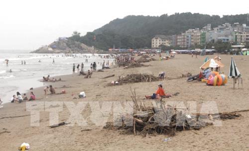 Biển Sầm Sơn bị rác bủa vây sau mưa lũ