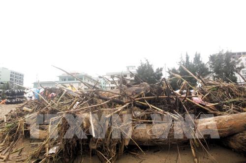 Biển Sầm Sơn bị rác bủa vây sau mưa lũ