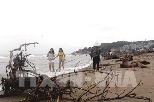 Biển Sầm Sơn bị rác bủa vây sau mưa lũ