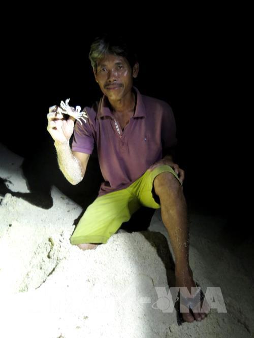 Cận cảnh trải nghiệm săn cua, còng đêm tại đảo Bé, Lý Sơn